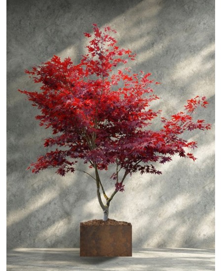 Изкуствено озеленяване 3D проект есенни дървета
