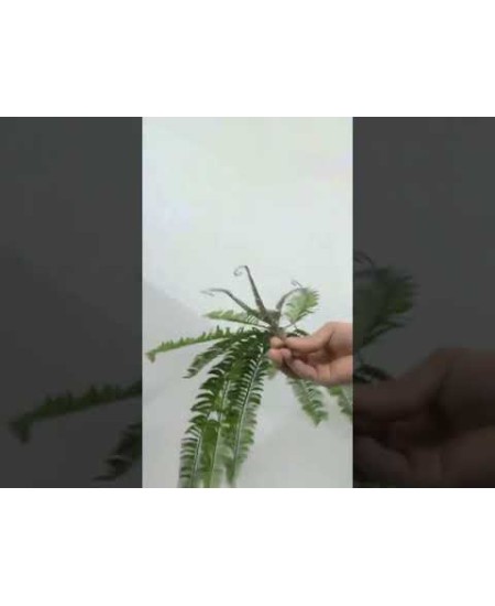 Изкуствен стрък Папрат зелен 58см