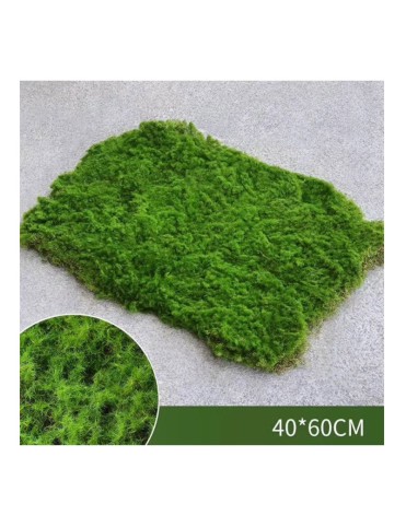 Изкуствен мъх пано 40х60см