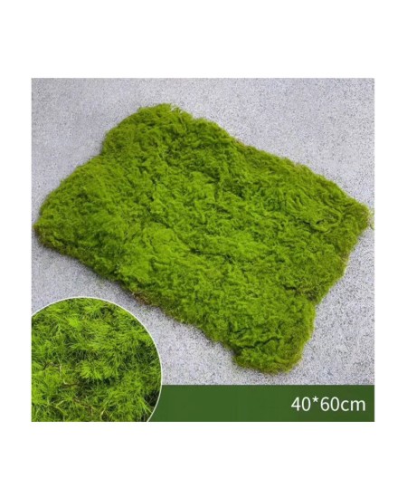 Изкуствен мъх пано 40х60см 