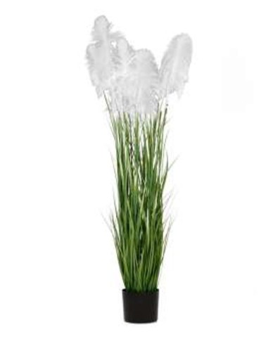 Изкуствен стрък Пампаска трева бял цвят в саксия 3х Ф20см/180см