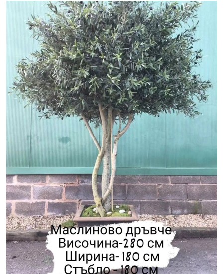 Голямо изкуствено дърво в саксия Маслина зелена 280х180см