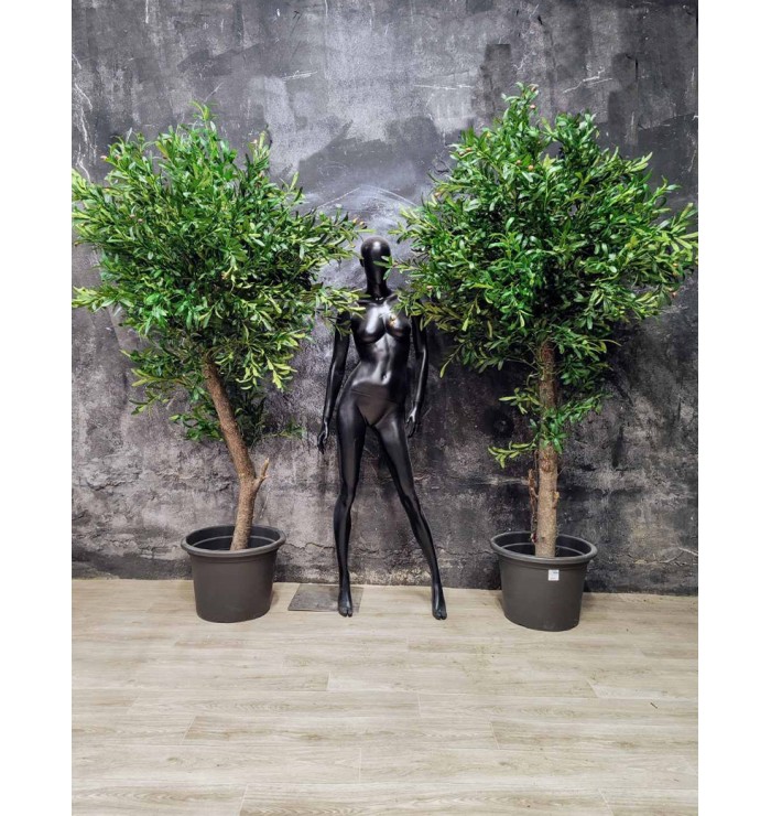 Изкуствени дървета в саксия Маслини 230x120см