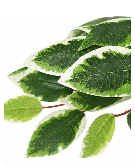 Изкуствен фикус в саксия - зелен 180 см