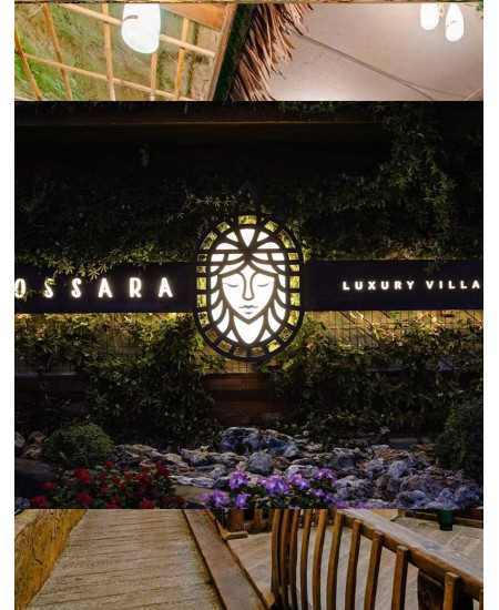 Изкуствено озеленяване проект Cosara luxury villa's