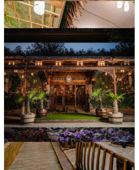 Изкуствено озеленяване проект Cosara luxury villa's