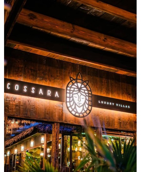 Изкуствено озеленяване проект Cosara luxury villa's