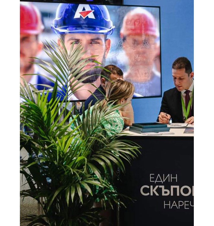 Изкуствени растения за изложение ПОД НАЕМ