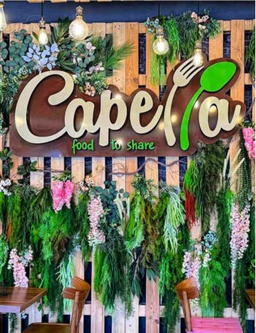 Вертикална градина изкуствено озеленяване проект CAPELLA