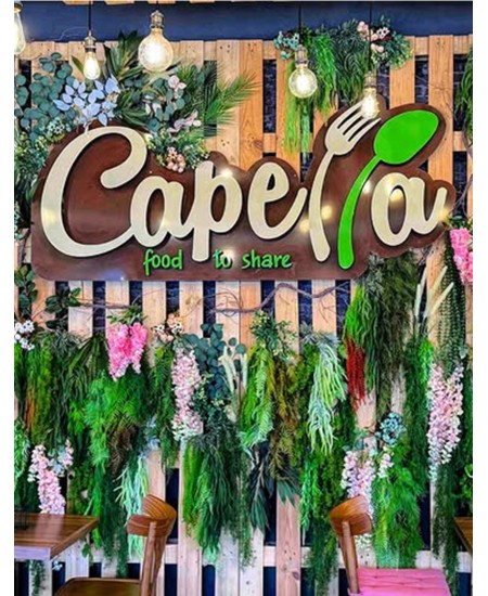 Вертикална градина изкуствено озеленяване проект CAPELLA