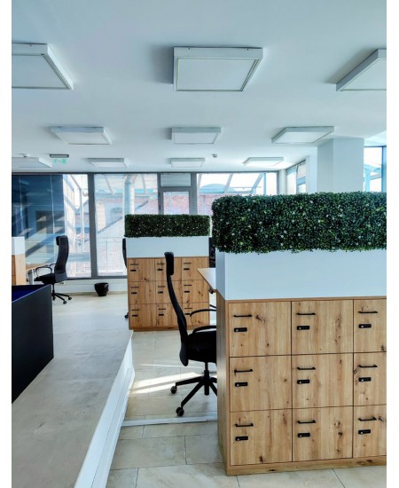 Изкуствено озеленяване на офис пространство