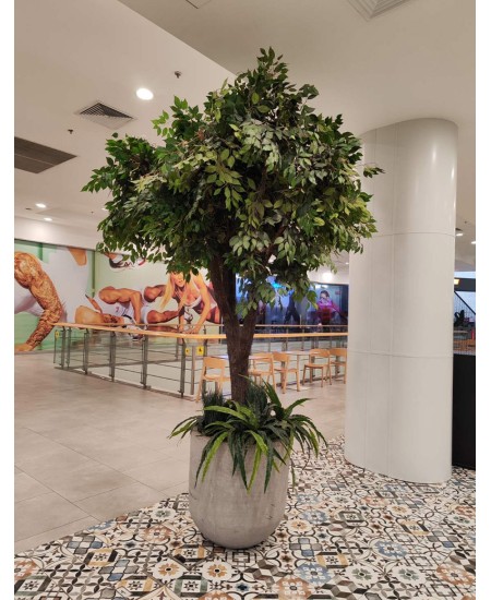Интериорно озеленяване Galeria Mall Стара Загора