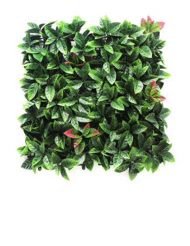 Изкуственa зеленa стенa Photinia пано 50х50см 
